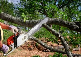 Lawn Irrigation Installation and Maintenance in Wilson, OK